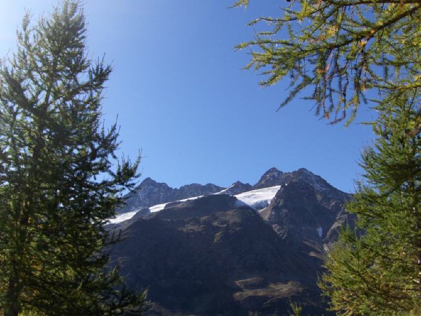 Flecki- und Stucklistock