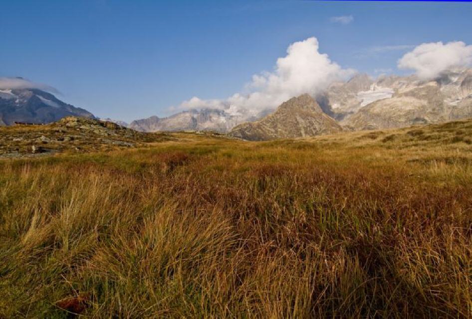 Blick Richtung Westen 
